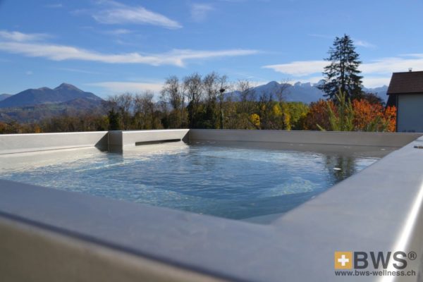 Spa inox Hors-sol BWS